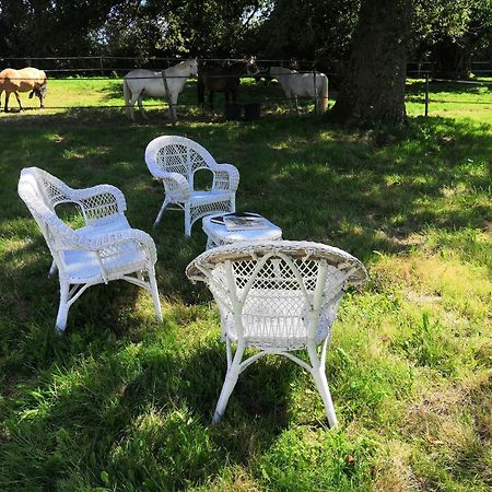 Bed and Breakfast La Marquise Penchee Orsennes Esterno foto